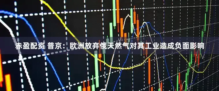 赤盈配资 普京：欧洲放弃俄天然气对其工业造成负面影响